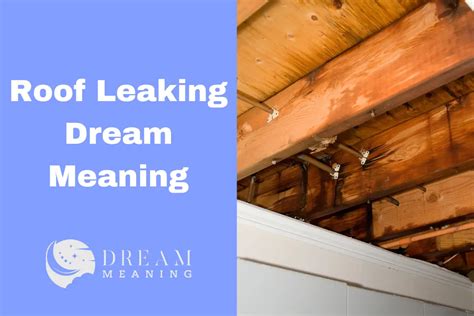 dreams about roof leaking|What Dream About Leaking Roof Means